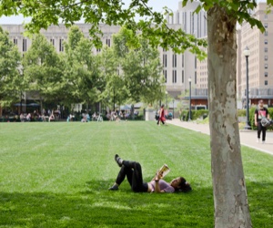 Greenspace with woman reading under a tree